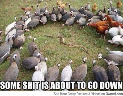 16:51:38 GMT-0600 (CST)