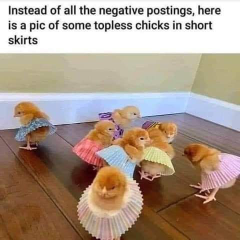 19:54:55 GMT-0800 (PST)