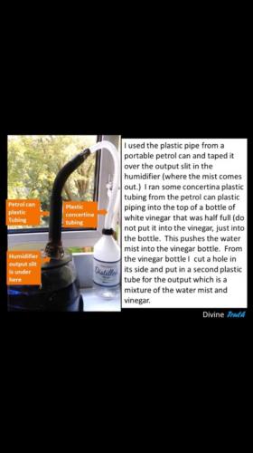 4CCD84AF-7FD6-478F-9D0C-5D23FFCB7F29