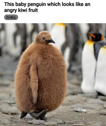 13:31:35 GMT-0400 (EDT)