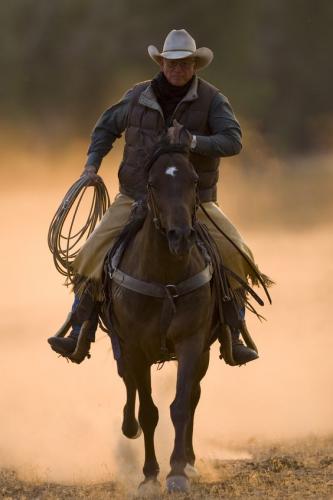 2b18ab9c88e8865d20623bc5022a234d