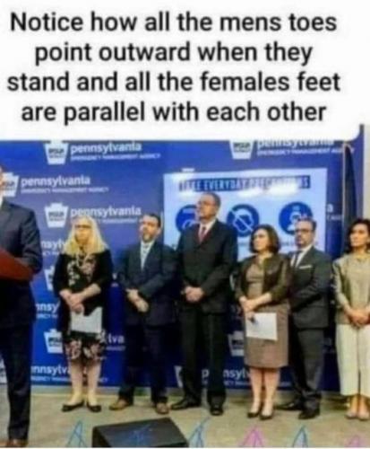 xephula_60e7f63b897fef9e0f8a4d1a4f7751f2