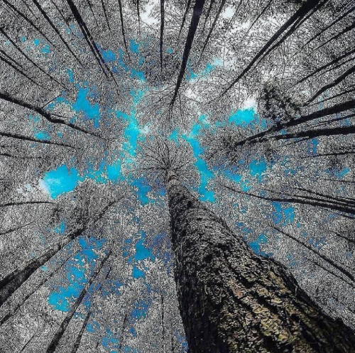 20:24:06 GMT+0100 (WAT).png