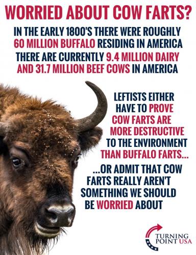 18:50:08 GMT-0400 (EDT)