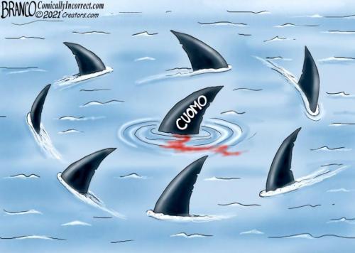 dEmocRat sharks