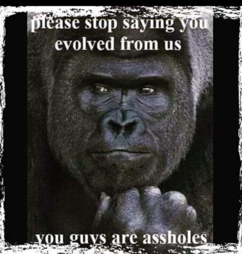 23:04:26 GMT-0400 (EDT)