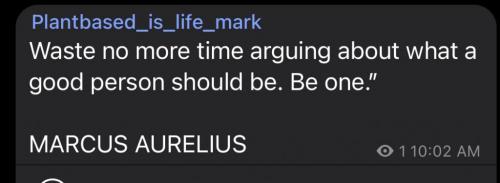 10:04:20 GMT-0500 (CDT).image