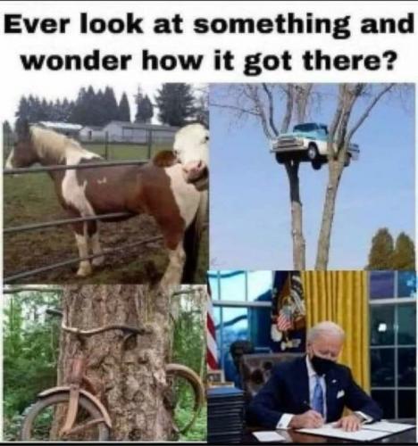 how did it get there