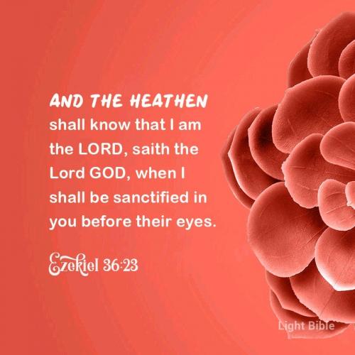 08:03:53 GMT-0500 (CDT).*