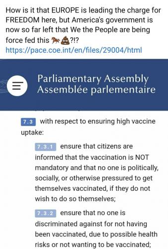 AD38A8FF-71FB-42AE-B55A-7808DD0E5937