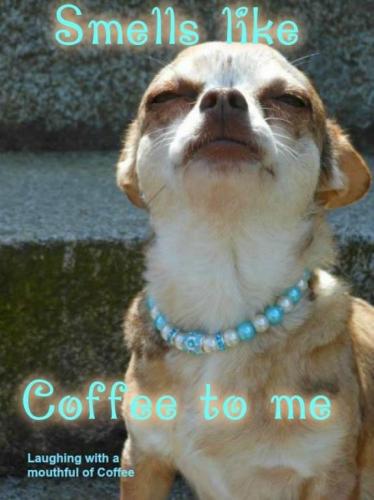 C50520D0-3798-4B22-A321-A471BDB6C2D3