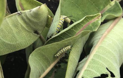 02:05:12 GMT-0400 (EDT).image