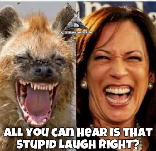 10:10:35 GMT-0600 (CST).image