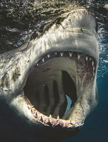 tumblr_956488cb9f31c1b24ac21606b0d5fbfa_6e7d9b01_540