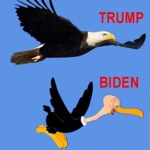 13:35:17 GMT-0600 (CST).image