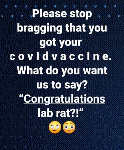 LAB RAT