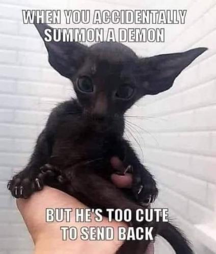 13:47:38 GMT-0700 (PDT)