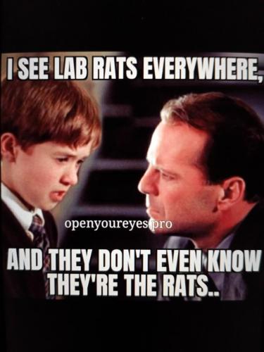 65637E11-7DC9-4DAC-BE0A-D583E1ED1B54