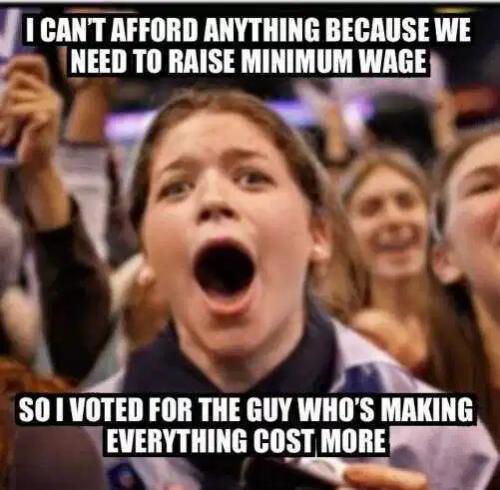 cant-afford-anything-minimuw-wage-vote-for-guy-makes-everything-cost-more-biden