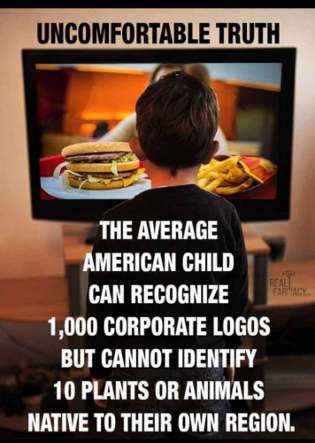 08:53:47 GMT-0400 (EDT)