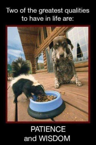 21:38:40 GMT-0700 (PDT)