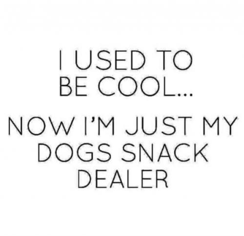 12:21:19 GMT-0600 (CST)