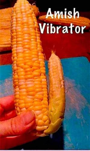 17:43:44 GMT-0800 (PST)