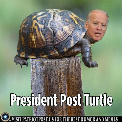 10:23:02 GMT-0500 (CDT)