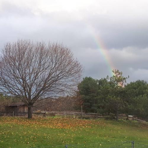 IMG_20181217_195739_904