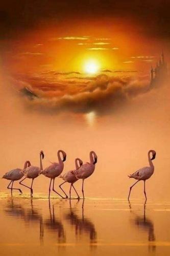 159922585_1818655591633978_3162584632926424066_n