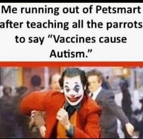 9F482830-BFC8-40A3-A5FC-E8D134CBE057-2876-000003AA98D1322A