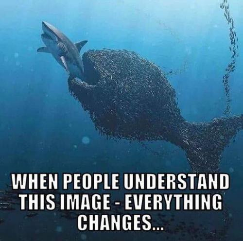 20:27:01 GMT-0500 (EST).image