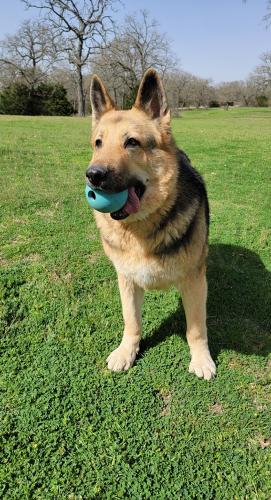 14:26:06 GMT-0500 (CDT)