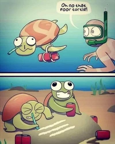 06:02:54 GMT-0600 (CST).image