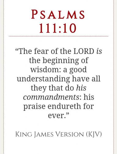 Tumblr_l_34376957152201