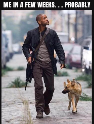 90354040_3012803918739619_3917644570686390272_n