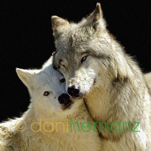 151ec289c7a174ae965c5f866112564e