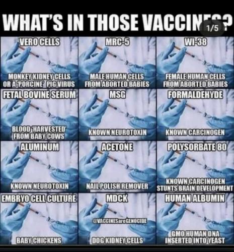 Some_Vaccine_Ingredients