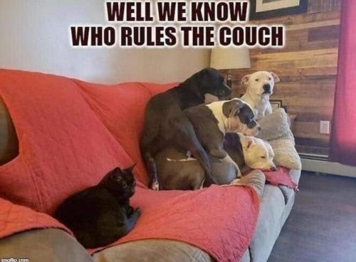 02:40:08 GMT-0400 (EDT)