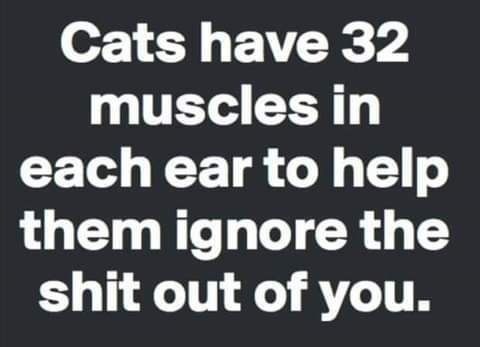 14:46:33 GMT-0800 (PST)