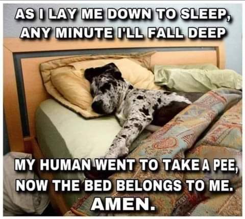 21:58:43 GMT-0800 (PST)