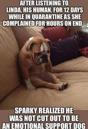 22:00:26 GMT-0800 (PST)