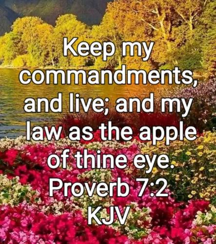 02:48:39 GMT-0800 (PST)