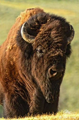 13151783_10204618977594558_8529942285980932560_n