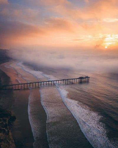 61009525_2459267394308824_3654073379897475072_n