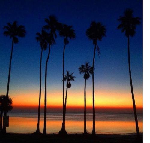 61675635_10157143998492357_4784645717236908032_n