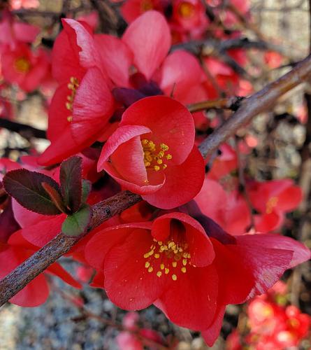 20:10:32 GMT-0800 (PST)