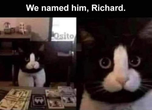 15:11:51 GMT-0600 (CST)