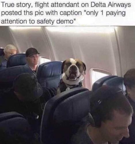 16:52:33 GMT-0500 (CDT)