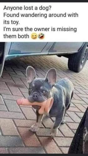 17:48:26 GMT-0700 (PDT)